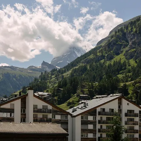 Hotel Schloss - Cbd & Adaptogenic And Sport