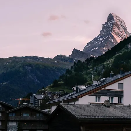 Hotel Schloss - Cbd & Adaptogenic And Sport