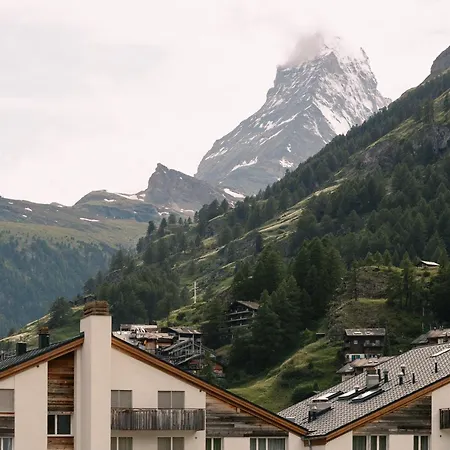 Hotel Schloss - Cbd & Adaptogenic And Sport