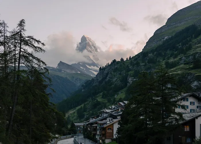 호텔 Schloss - Cbd & Adaptogenic And Sport