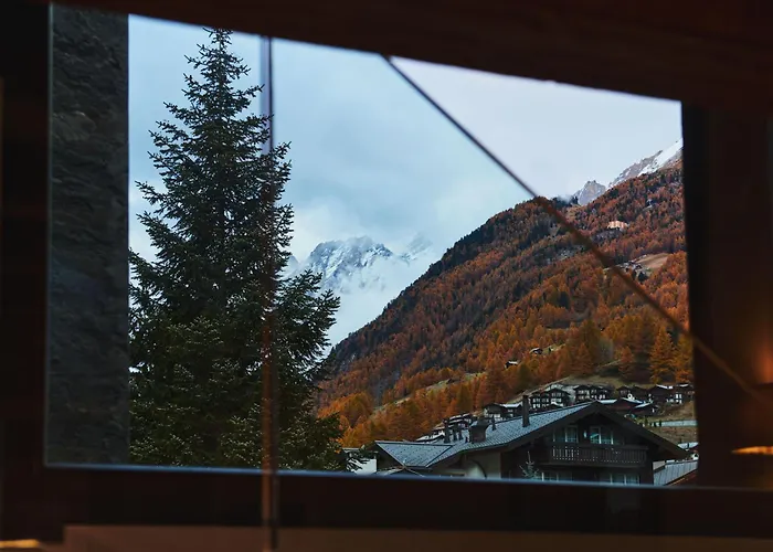 Schloss - Cbd & Adaptogenic And Sport 4*