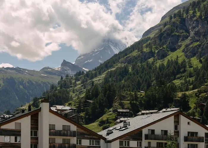 Hotel Schloss - Cbd & Adaptogenic And Sport