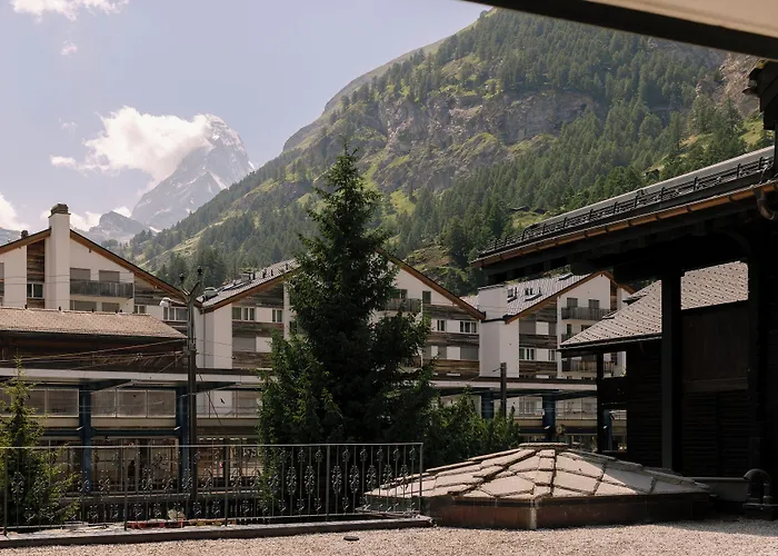 Hotel Schloss - Cbd & Adaptogenic And Sport